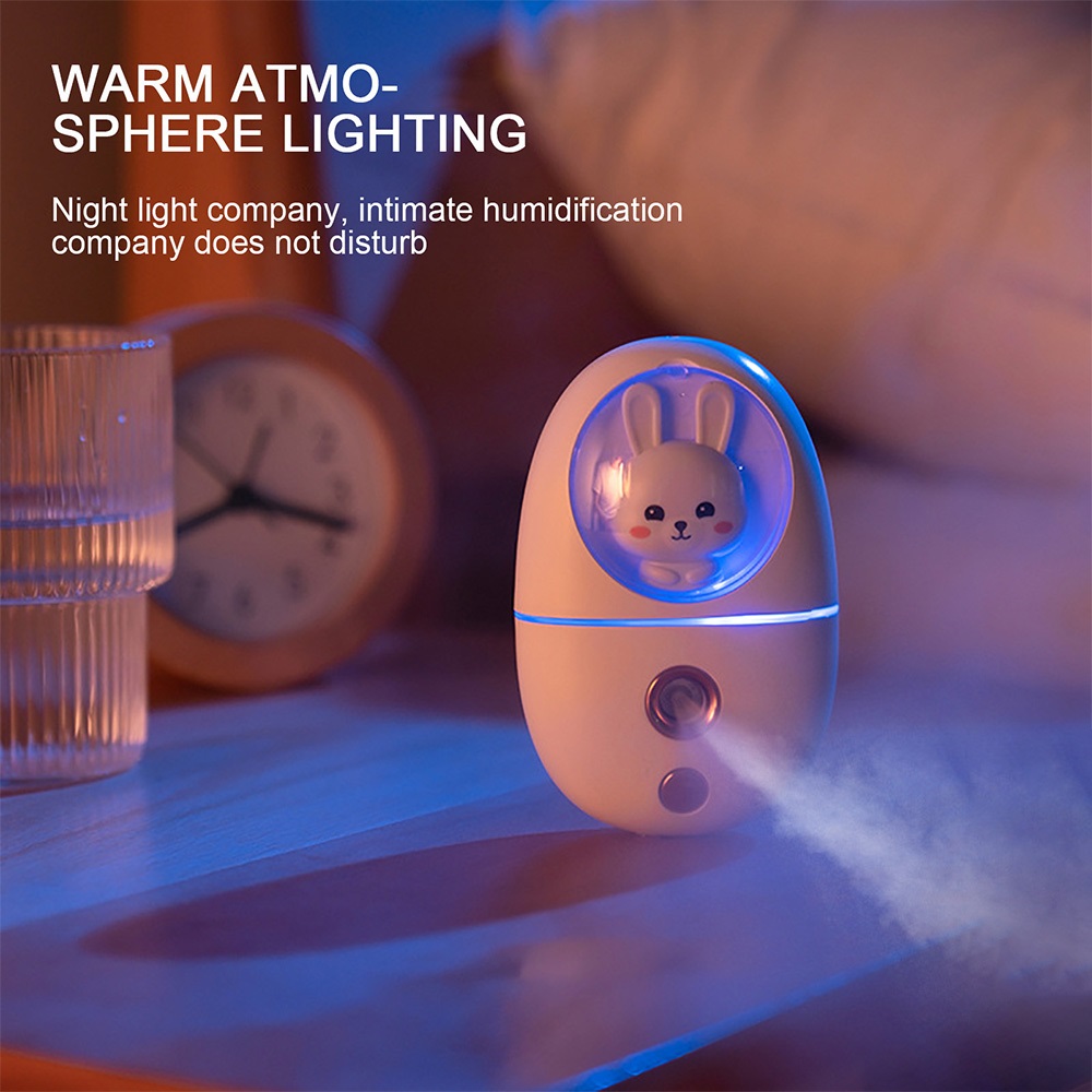 Cartoon 35ML Mini Facial Humid - Face Steamer 评论和价格