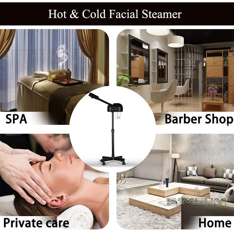 Professional Hot Cold Facial S - Face Steamer 评论和价格
