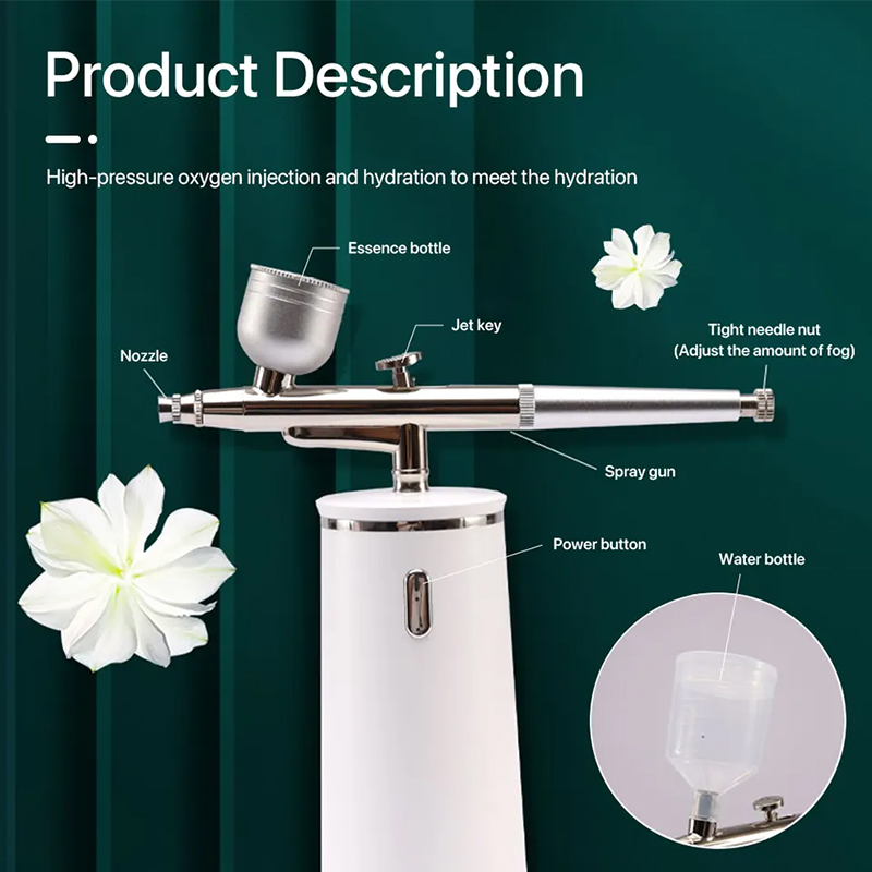 PAKISS Nano Ionic Cold Mist Ai - Face Steamer 评论和价格