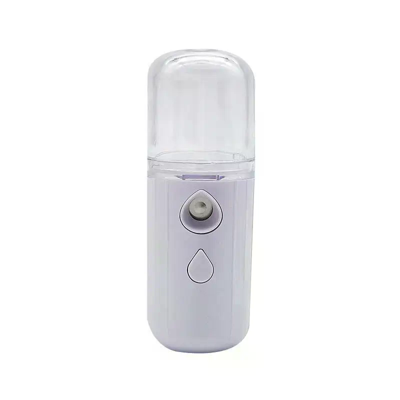 30ML Mini Face Humidifier Port - Face Steamer 评论和价格