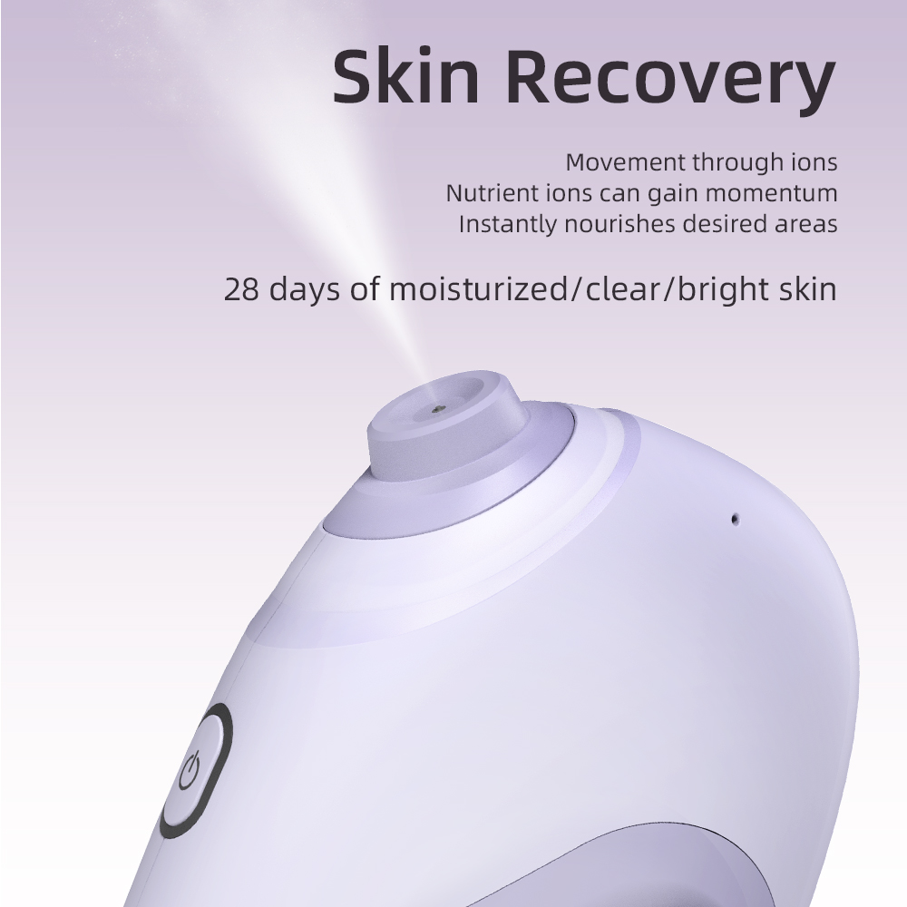 Nano Facial Sprayer Water Stea - Face Steamer 评论和价格