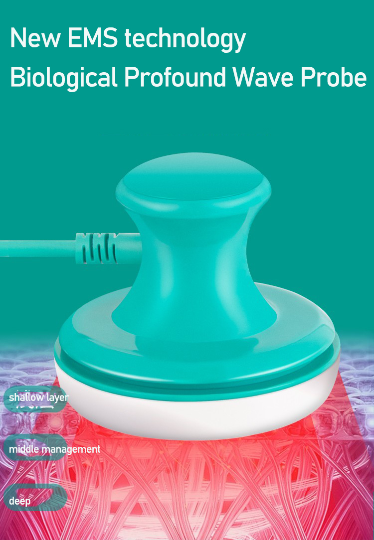 San Tong Master Meridian Instr - Body Brush 评论和价格